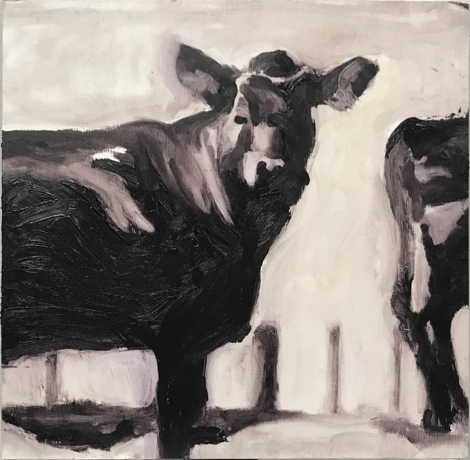 Angus Beef