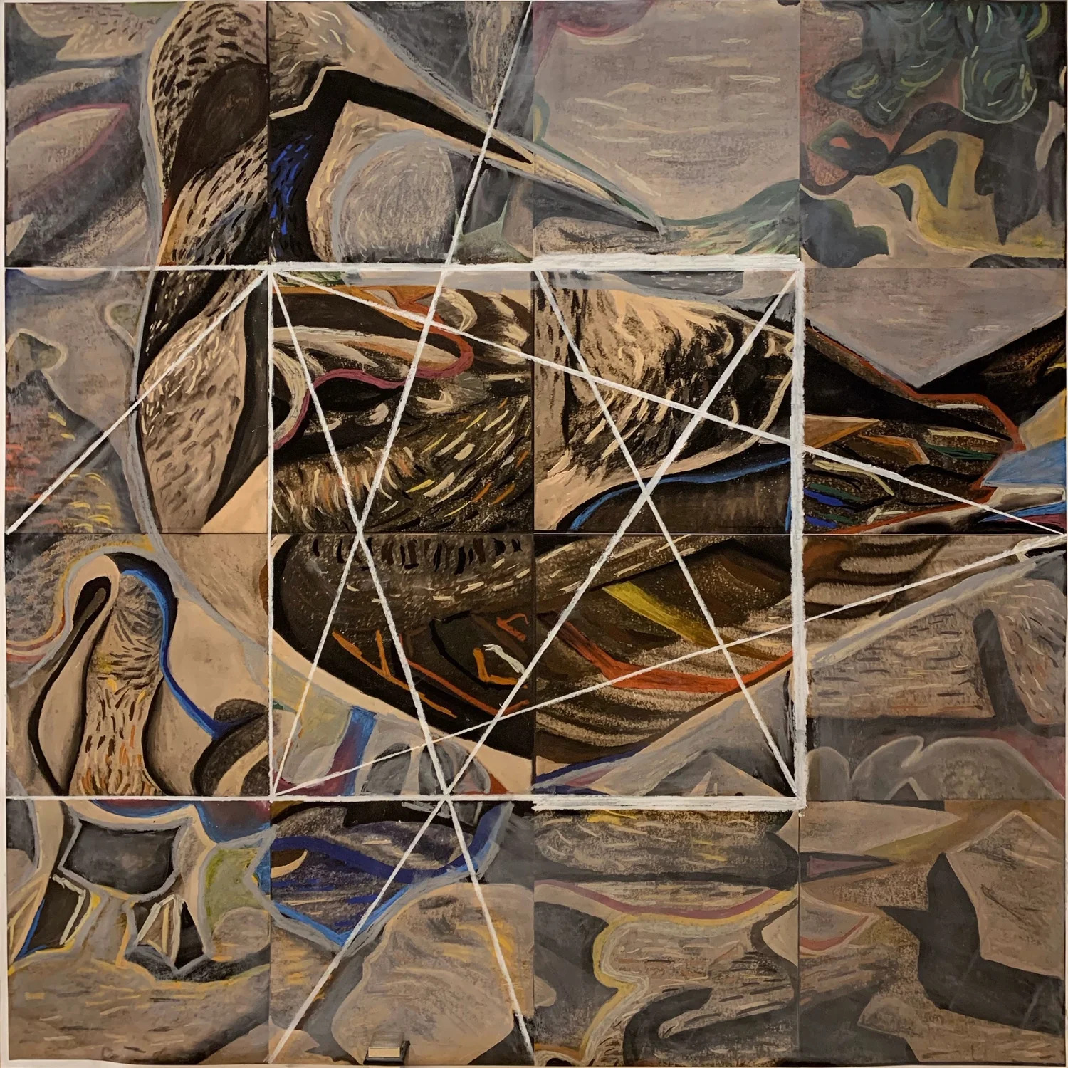 Blue-Footed Booby Stage IV